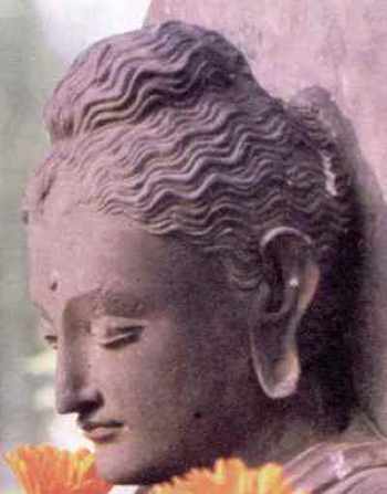 Buddha Shakyamuni