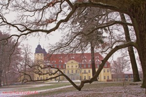 Neutralisierungsbild Schloß Fleesensee 2 herunterladen